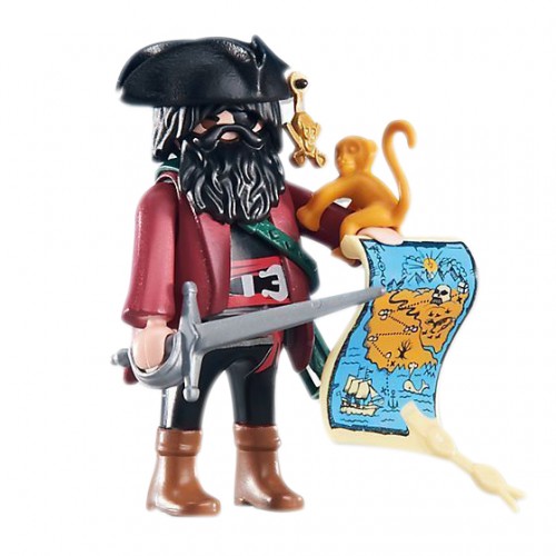 PLAYMOBIL - The Pirate Captain And His Monkey