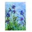 EUROGRAPHICS - Puzzle 1000 Piece Irises Claude Monet