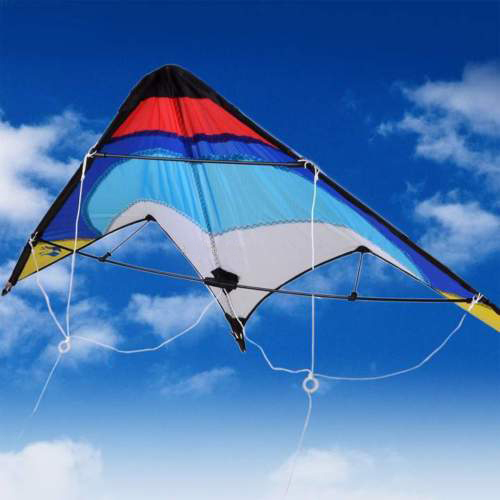 MAGIC - Delta Dual Line Control Kite